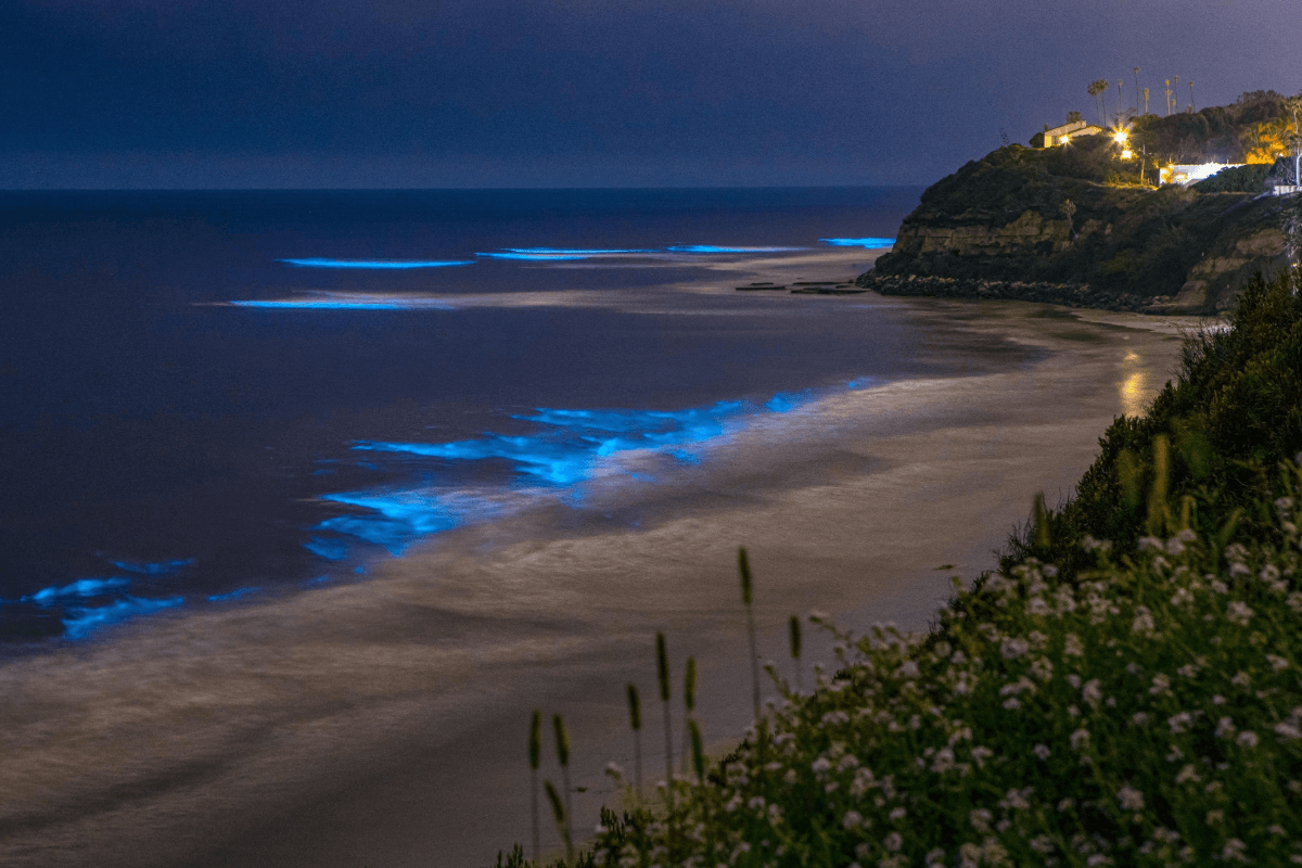 Car & Bike Rental in Betalbatim Beach