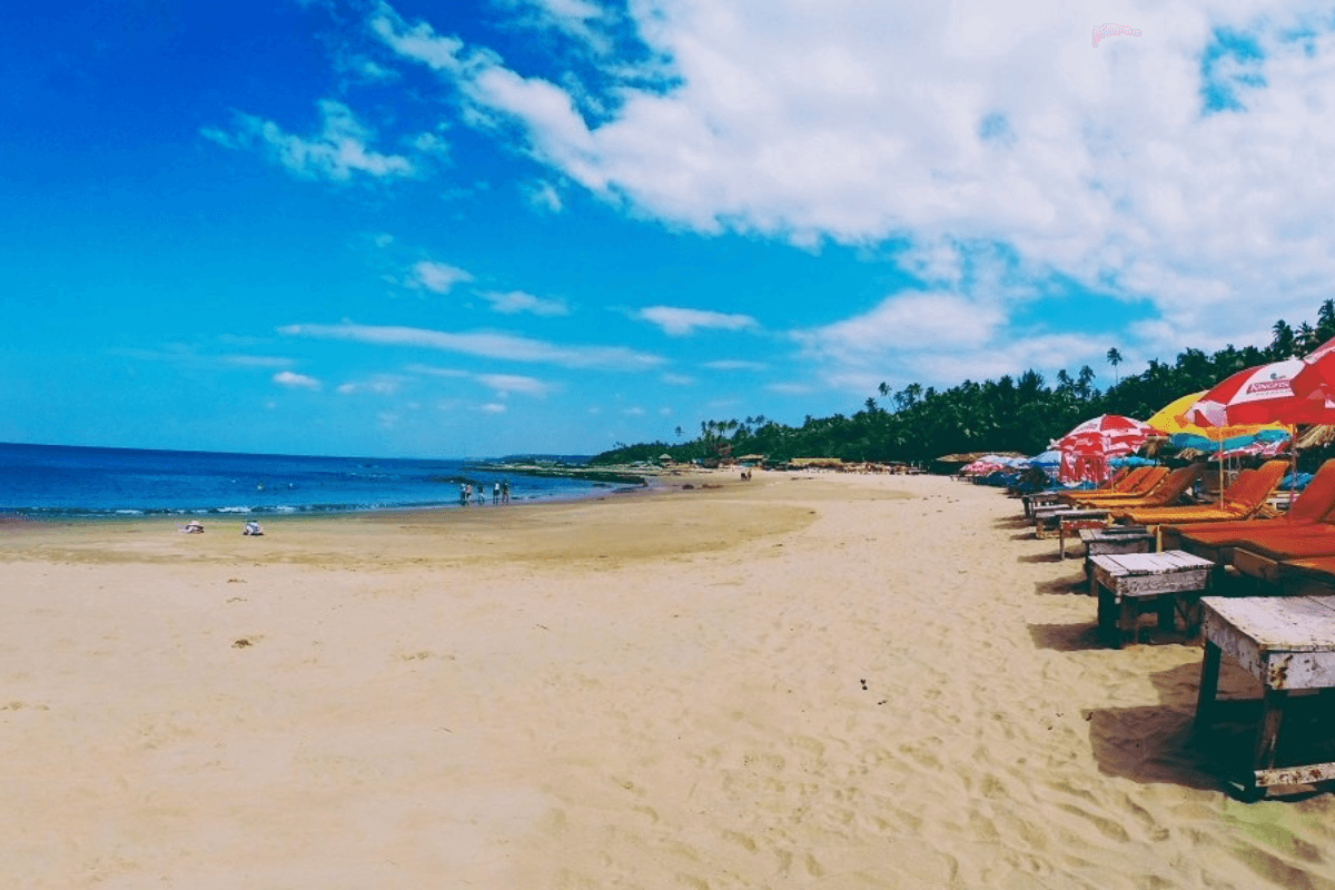 Car & Bike Rental in Morjim Beach